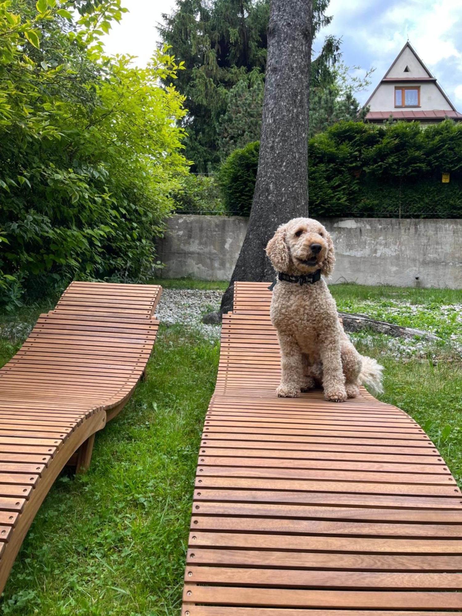 Willa Apart Zakopane Kültér fotó