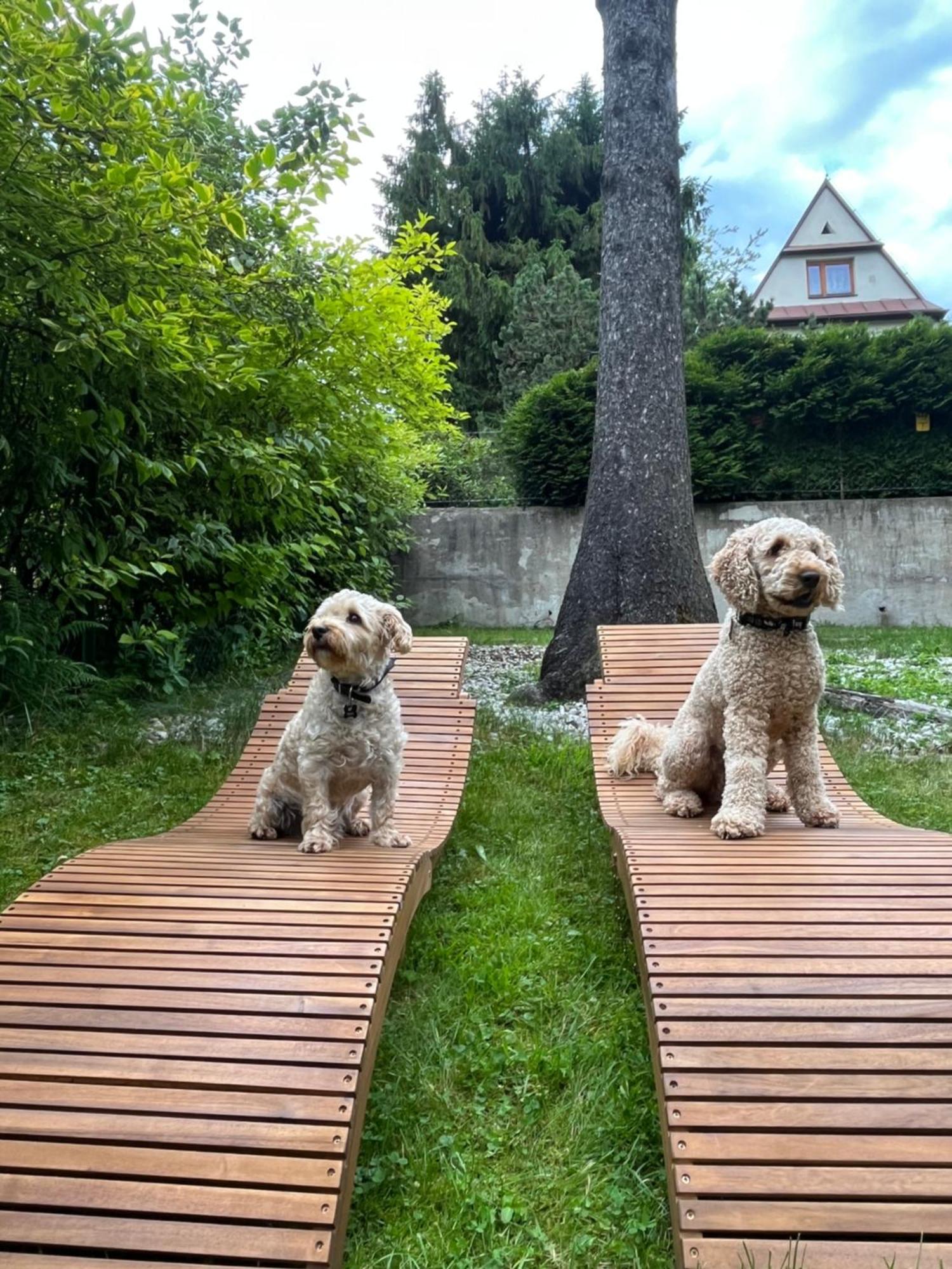 Willa Apart Zakopane Kültér fotó